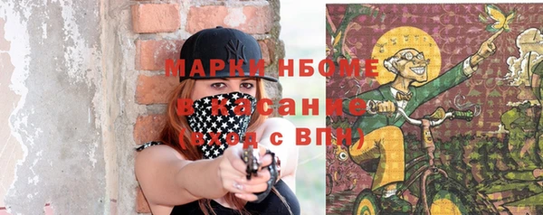 твердый Аркадак